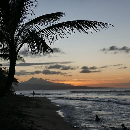 la villa caribéenne de la plage des surfeurs Trinite  Exterior foto