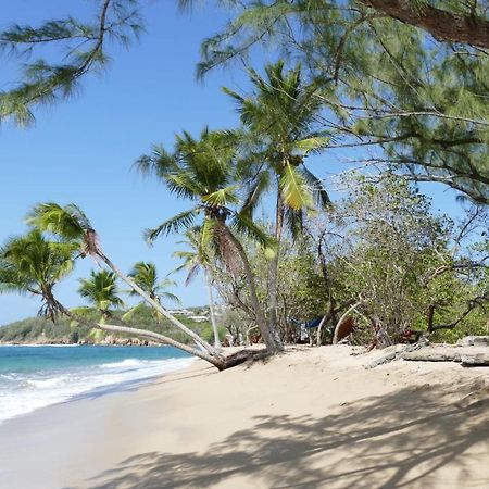 la villa caribéenne de la plage des surfeurs Trinite  Exterior foto