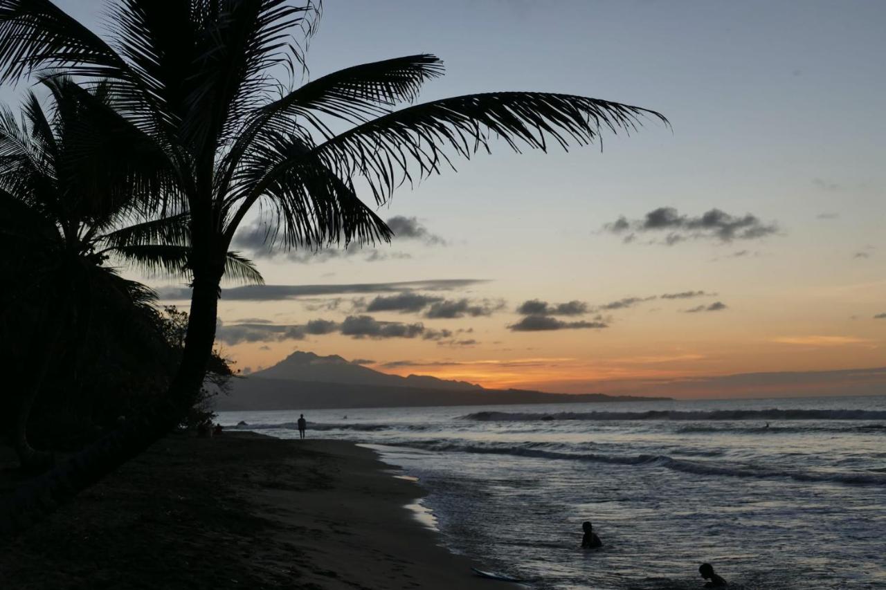 la villa caribéenne de la plage des surfeurs Trinite  Exterior foto