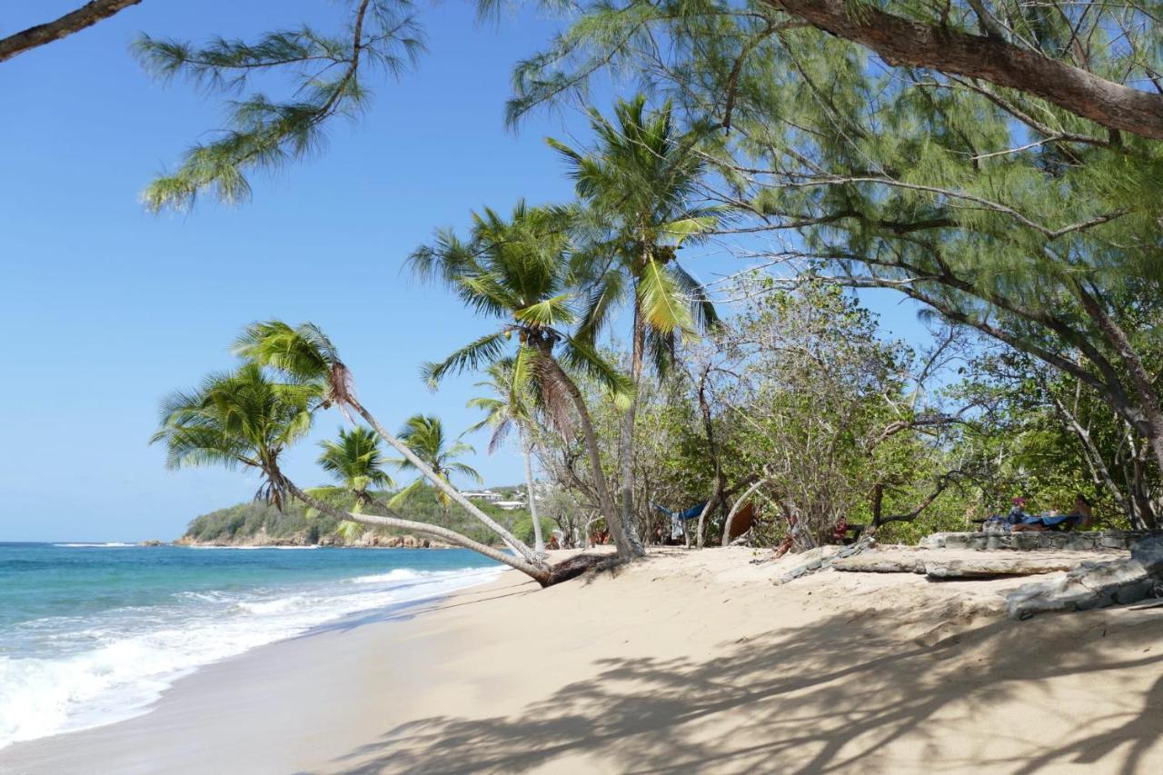 la villa caribéenne de la plage des surfeurs Trinite  Exterior foto